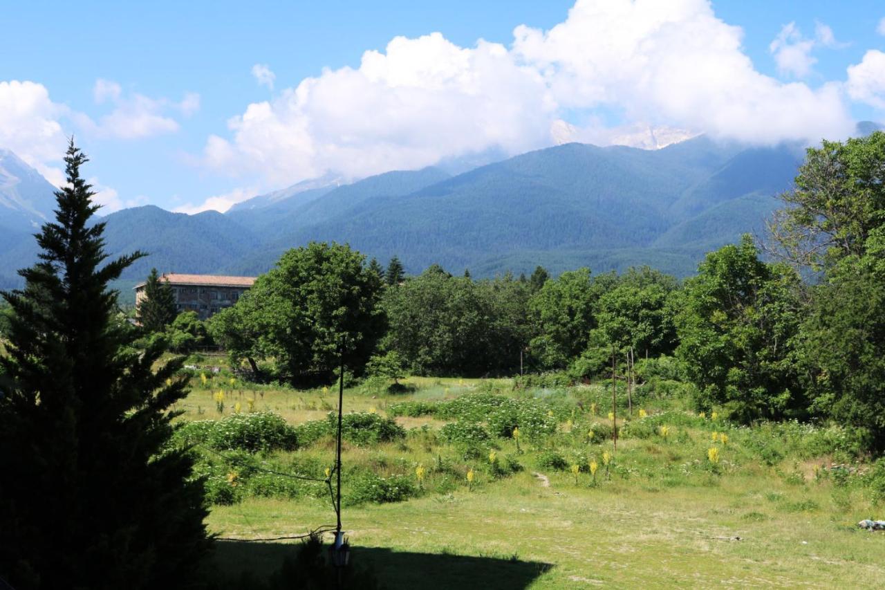 Private Apartments In Alpine Lodge Bansko Bagian luar foto