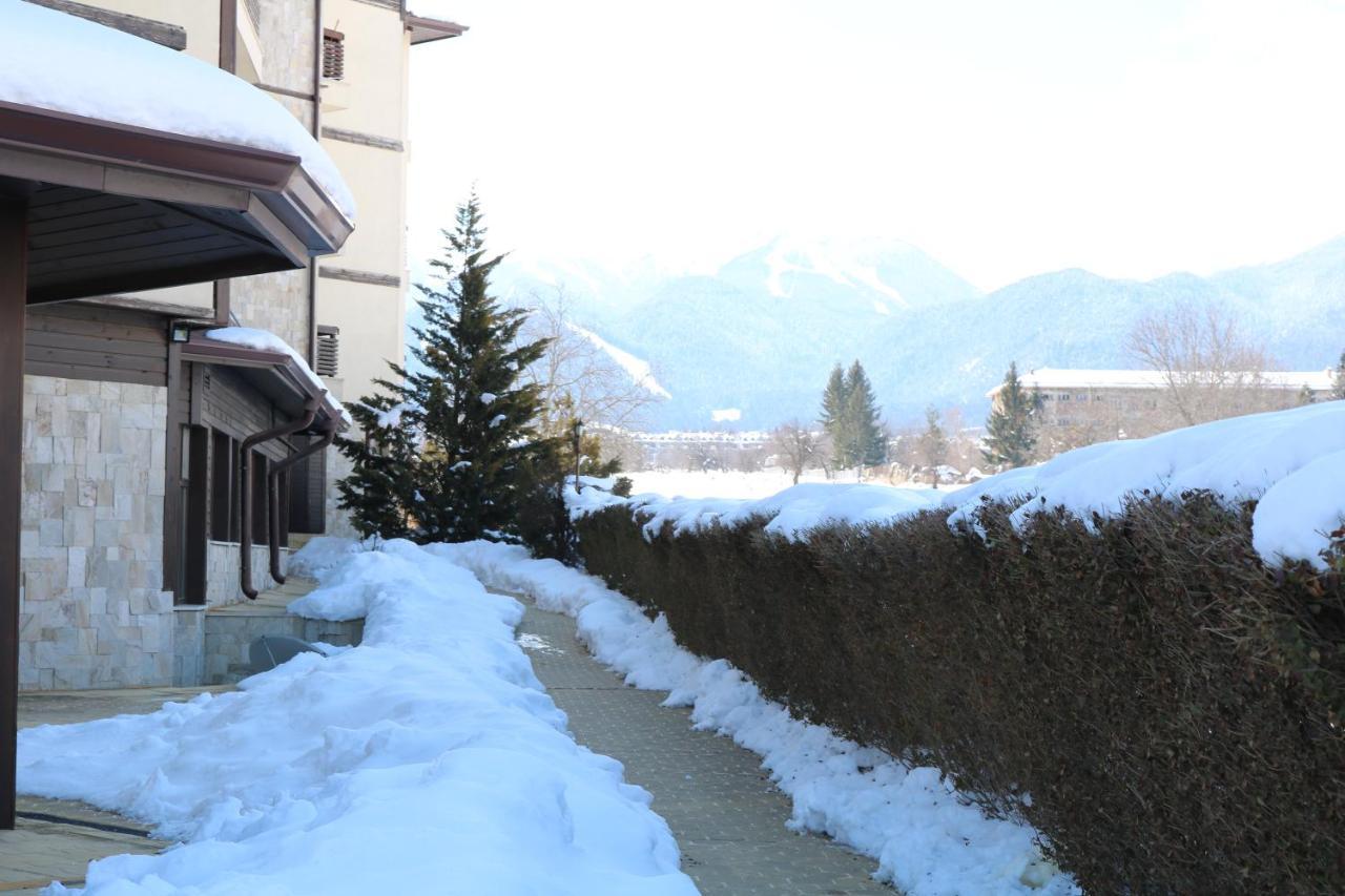 Private Apartments In Alpine Lodge Bansko Bagian luar foto