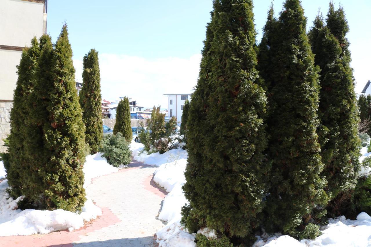 Private Apartments In Alpine Lodge Bansko Bagian luar foto